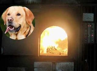 How Much Does It Cost to Cremate a Dog? Find Out Now!