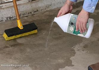 How to Get Dog Pee Smell Out of Concrete Garages (Easy Methods)