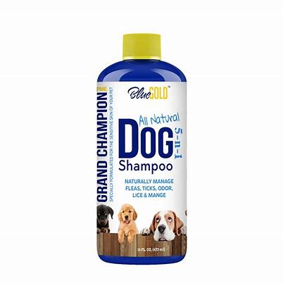 If You Don’t Have Dog Shampoo, What Can You Use? (Alternative Options)