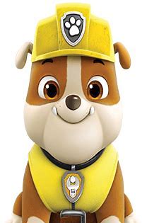 What Breed of Dogs Are Paw Patrol? Meet the Pawsome Canine Characters