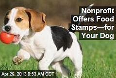 Can I Buy Dog Food Using Food Stamps? Find Out Here!