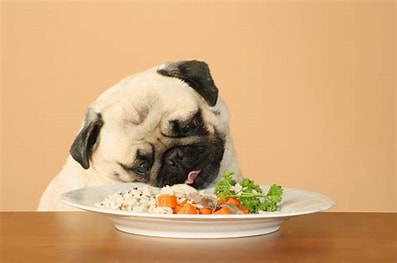 Can Dogs Eat Brown Rice? Find Out Now!