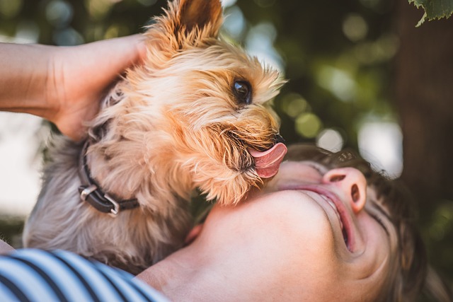 Why Does My Dog Lick My Ears? Uncovering the Surprising Reasons